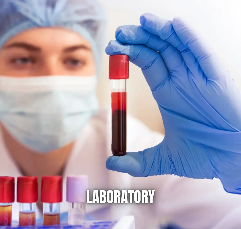 lab